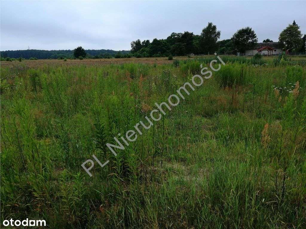 Duża działka przy asfalcie. - Pełny obrazek: 4/5