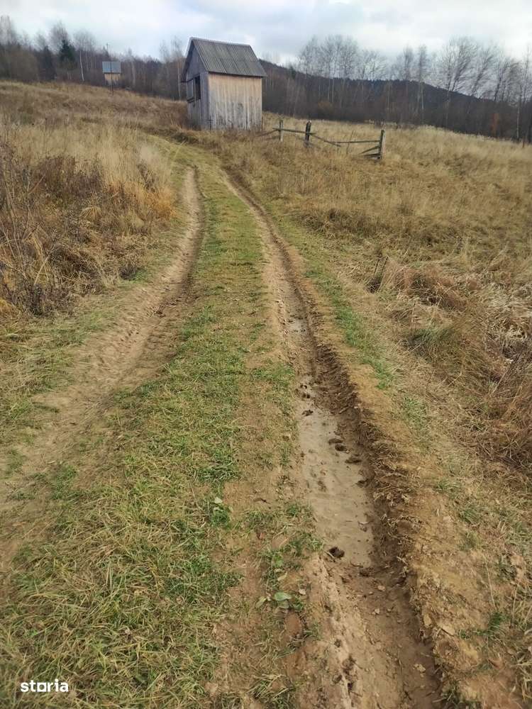 Vând teren - Imagine principală: 2/10