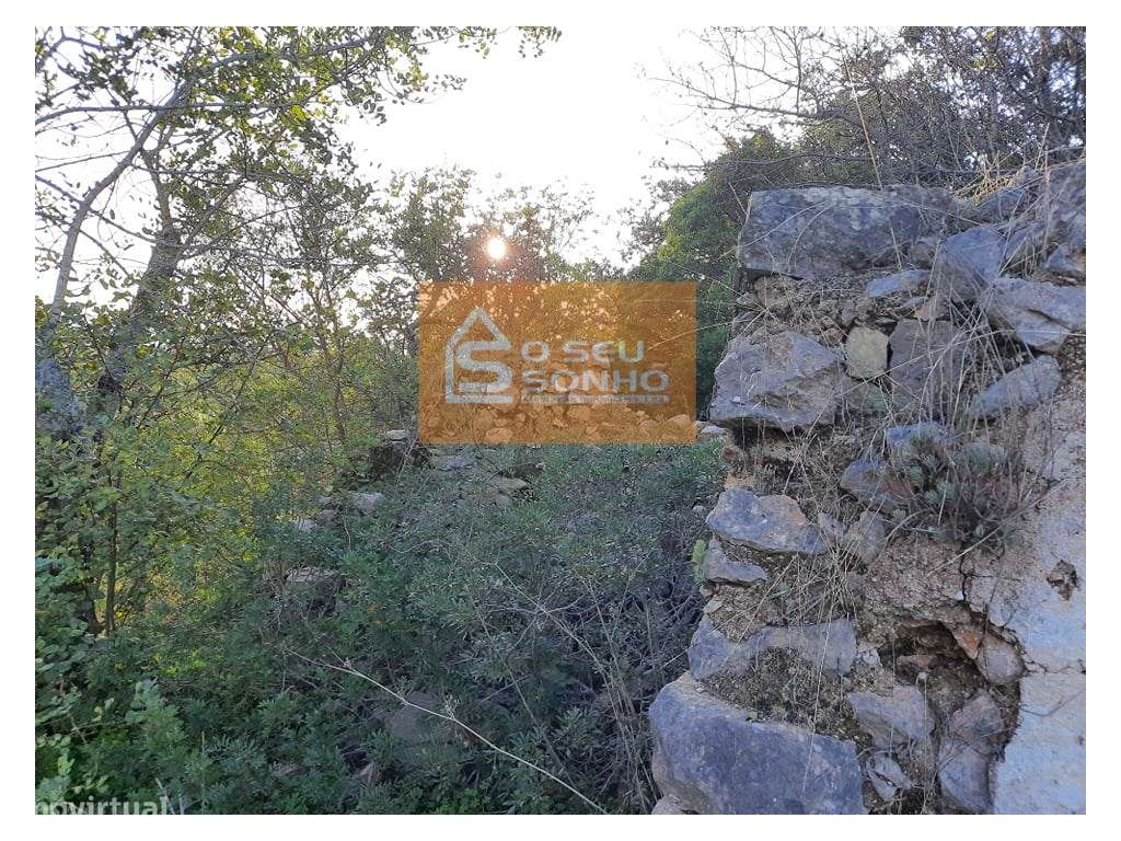 Propriedade com Ruína perto de São Brás de Alportel - Grande imagem: 4/19