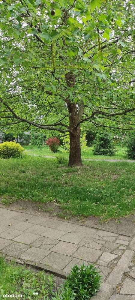 Mieszkanie do remontu przy Warszawiance-5