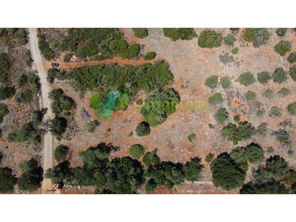 Terreno Rustico, Zona de Bonitos, São Bartolomeu Messines - Grande imagem: 3/9