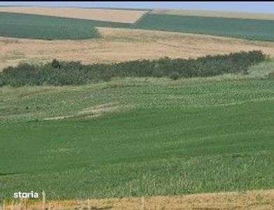 Teren Extravilan Aroneanu, ID: R2577828 - Imagine principală: 1/11