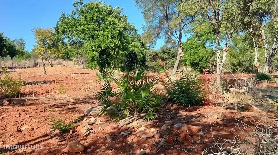 Terreno rústico plano com 4240 m2 no Algarve-7