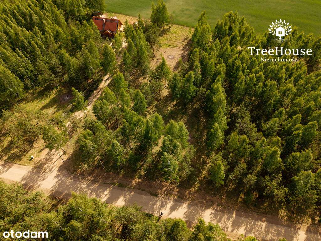 Mazury gotowy projekt las jezioro siedlisko-12