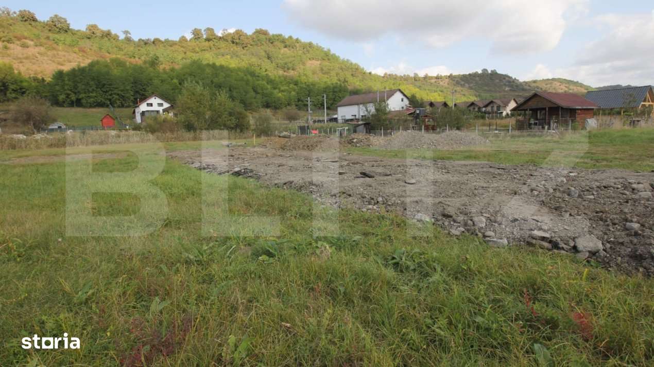 Teren Livezeni 8 ari - Imagine principală: 2/2