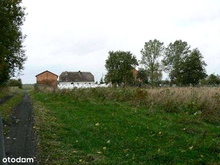 Działka siedliskowa 3130 m2 .Las. Morze. Nad rzeką-7