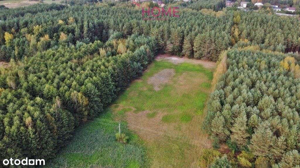 Sprzedam działkę w Rytwianach przy lesie - Pełny obrazek: 4/7