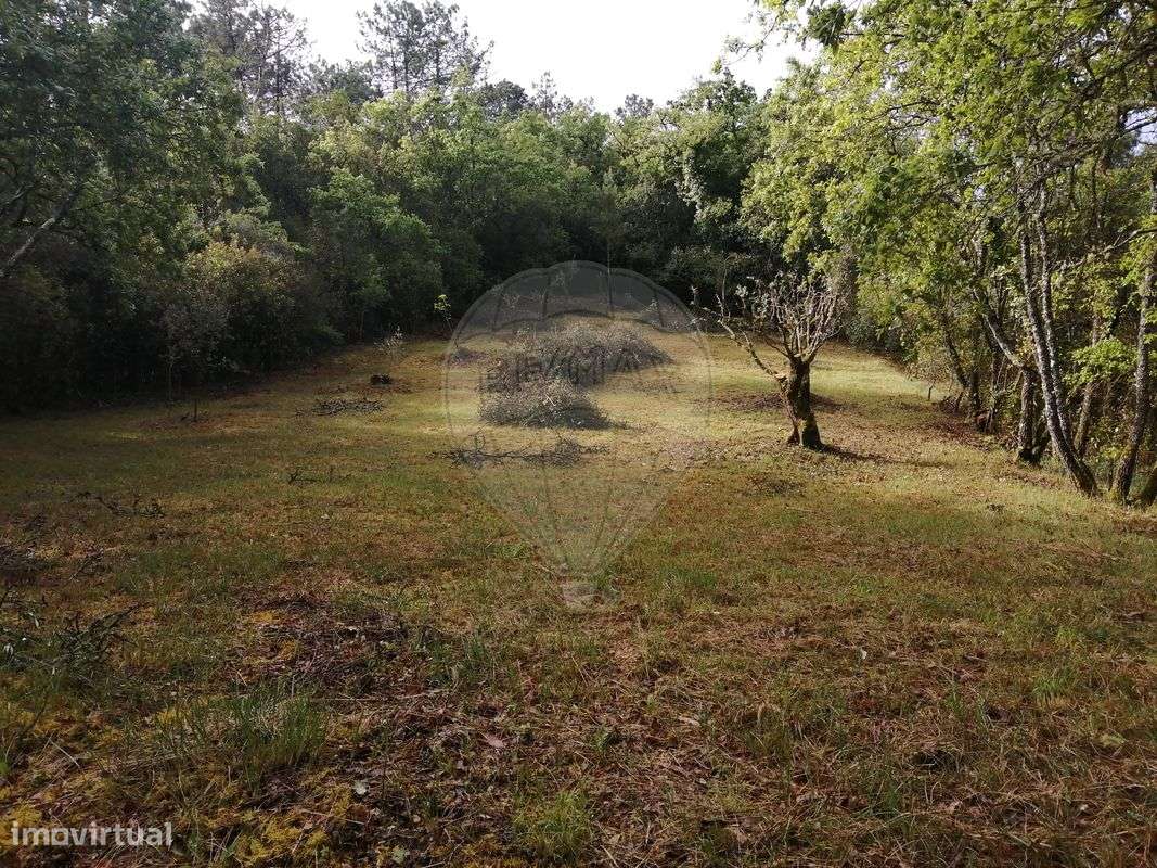 Terreno  para venda - Grande imagem: 1/4