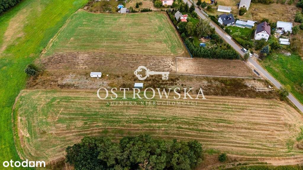 Działka budowlana z malowniczym widokiem na Wkrę! - Pełny obrazek: 4/12