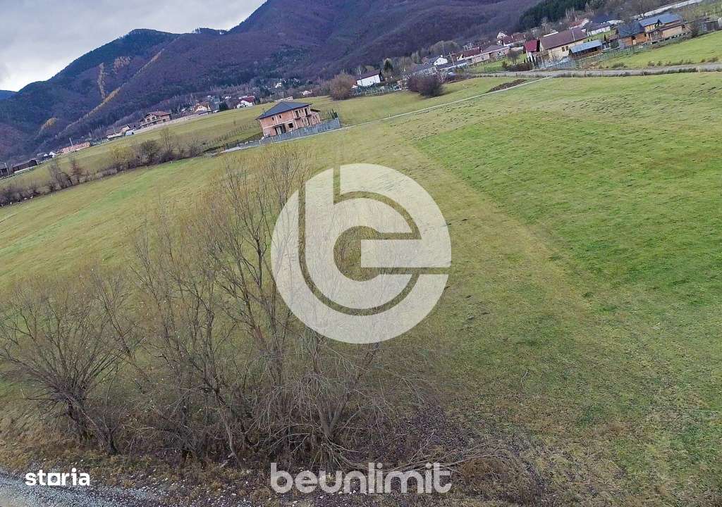 Teren intravilan in Tocile - 4354 m² - 2 fronturi - 49 euro/mp-8