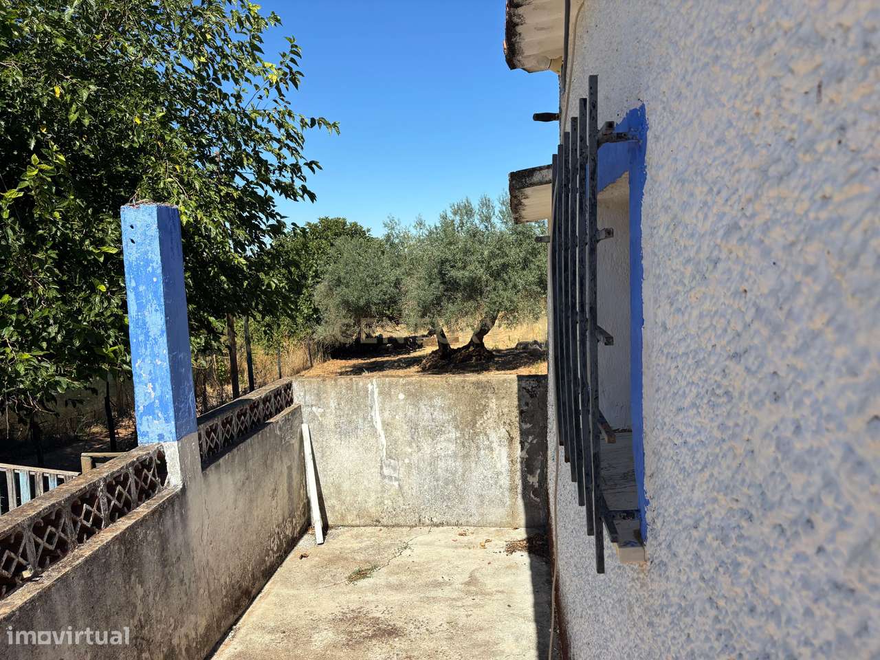 Quintinha com Moradia T2 + Armazém | 2ha vedados | Rio | Fruteiras | A-19