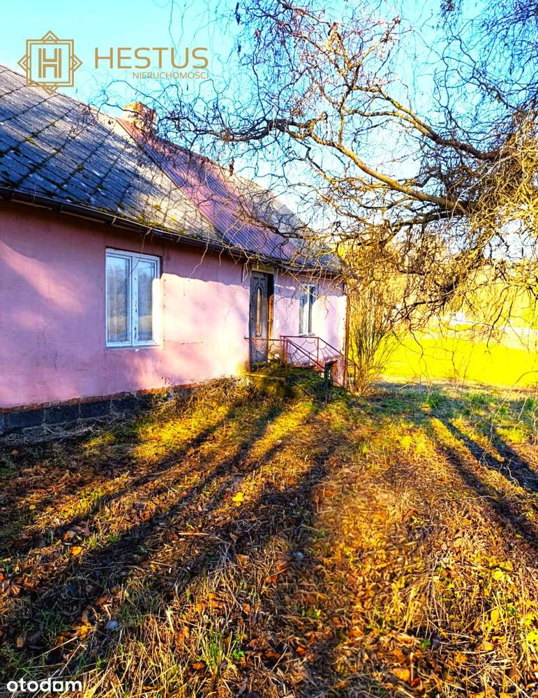 Tanie siedlisko na sprzedaż! Majdan Kobylański - Pełny obrazek: 4/13