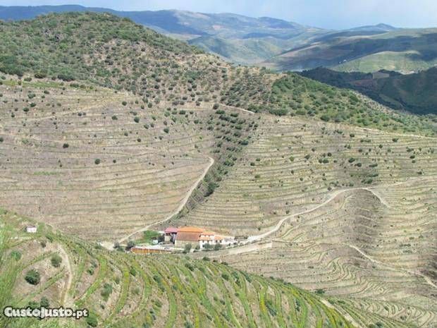 QUINTA NO DOURO SUPERIOR - TORRE DE MONCORVO