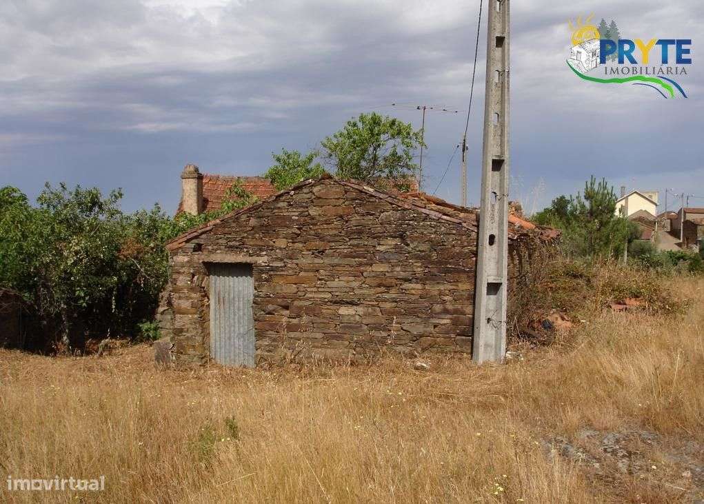 Imóvel rústico situado perto de Proença-a-Nova - Grande imagem: 4/19