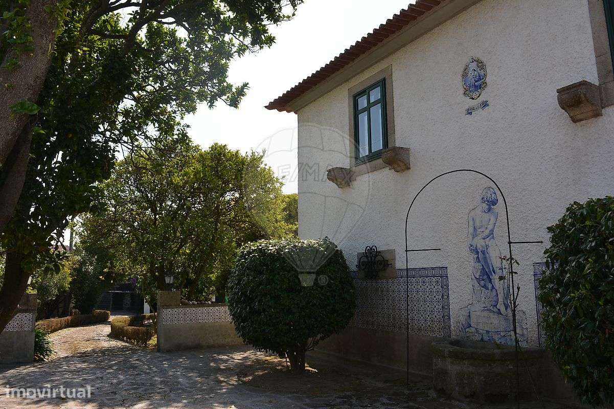 Quinta T5 para venda-4