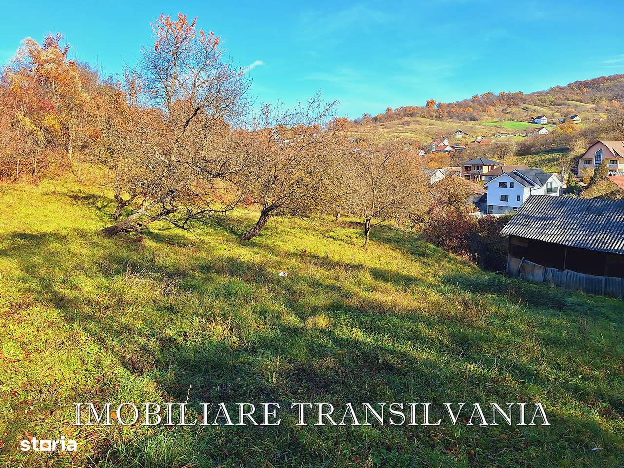 Teren intravilan 4200mp si casa - Valea Budacului-10