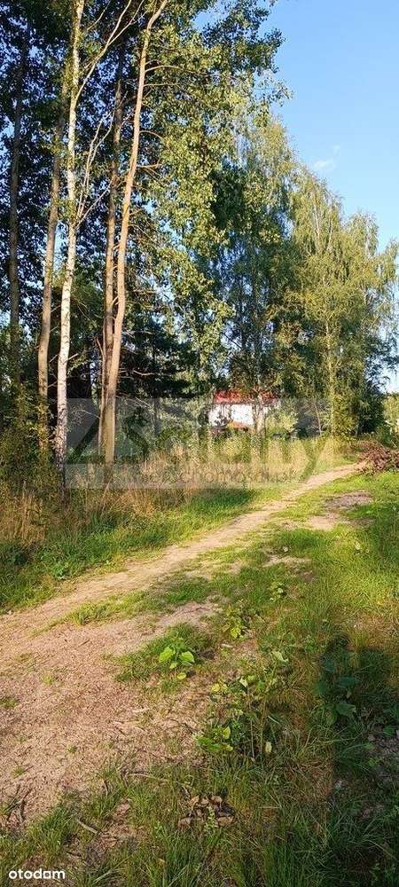 Działka, 1 500 m², Czarny Las - Pełny obrazek: 5/5