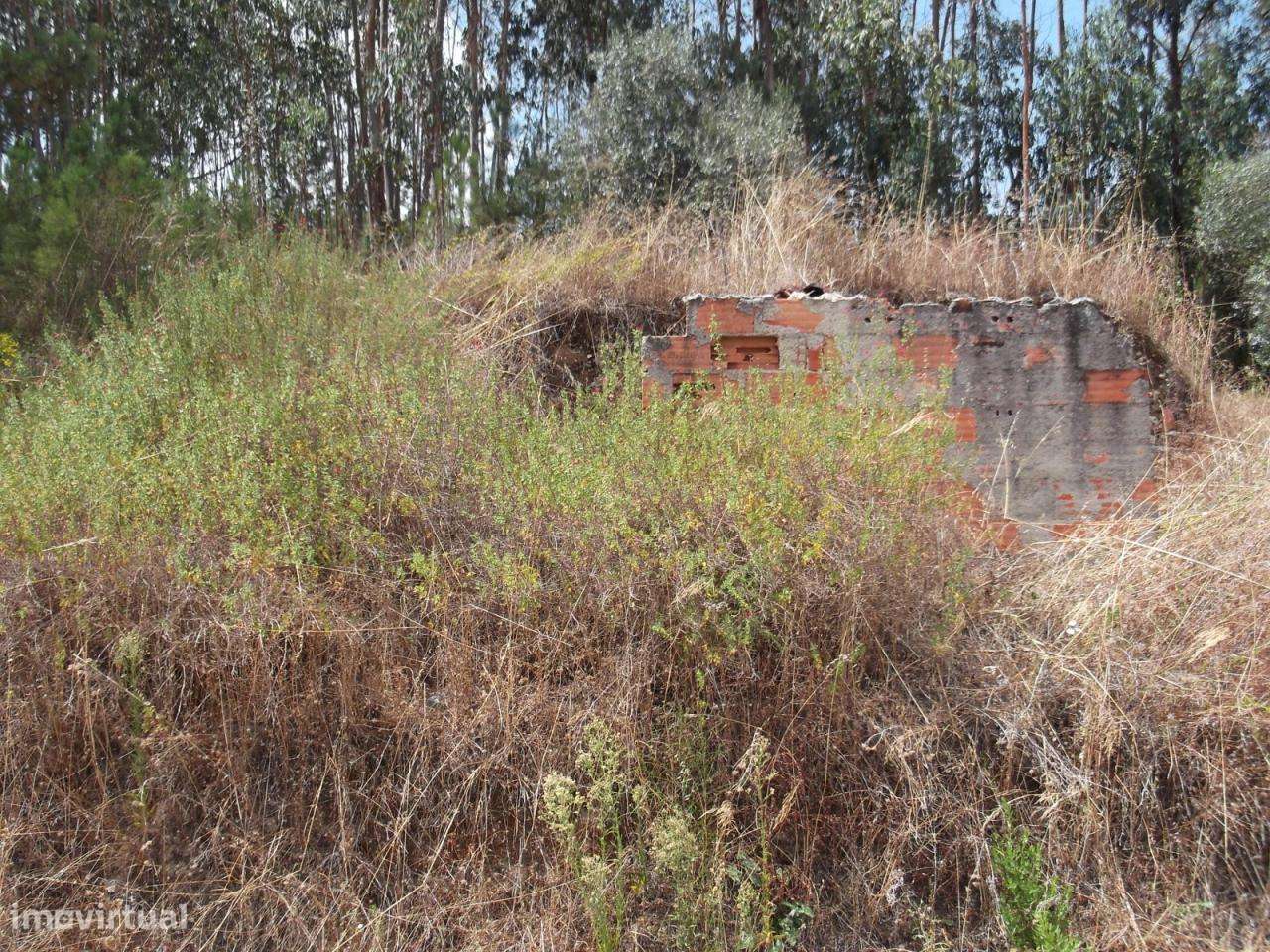 Terreno com 2056 m2 - Grande imagem: 3/4