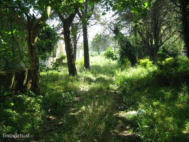 Terreno com 19.440m² para construção em Casais de Mem Martins-6