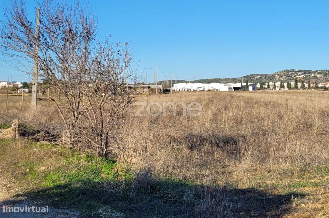 Terreno em Tunes - Grande imagem: 2/16