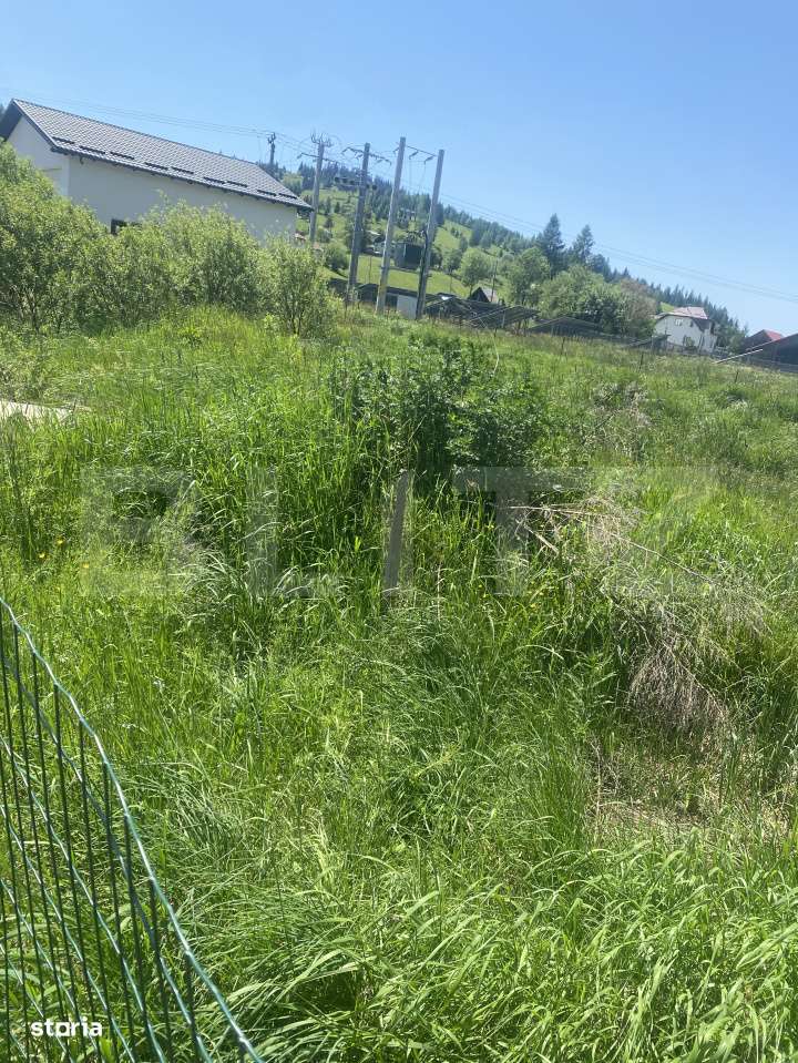 Teren intravilan in Vatra Dornei, 1000 mp - Imagine principală: 5/5
