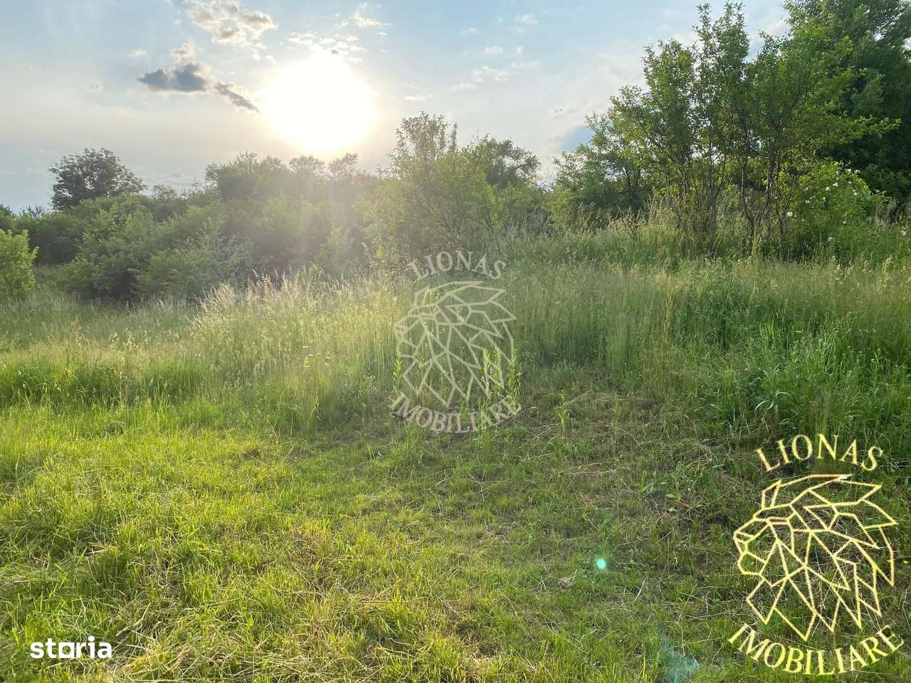 Teren Intravilan 1140 mp cu utilitati-ideal casa-Sigmir - Imagine principală: 3/3