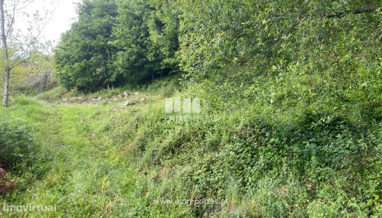 Venda Terreno com área de 8000 m2, São Lourenço do Douro, Marco de - Grande imagem: 2/29