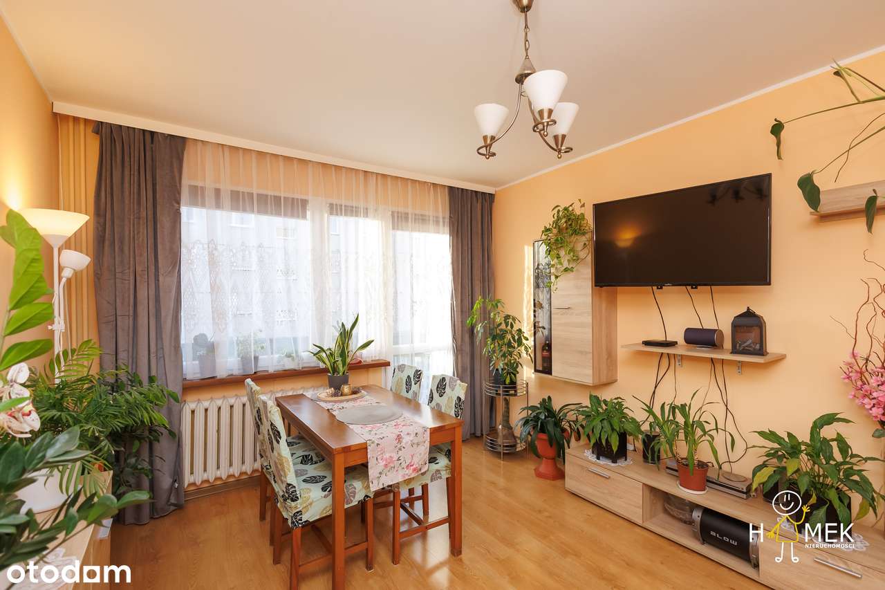 Świetnie Położone 2-Pokojowe Mieszkanie na Brynowie! - Pełny obrazek: 2/11