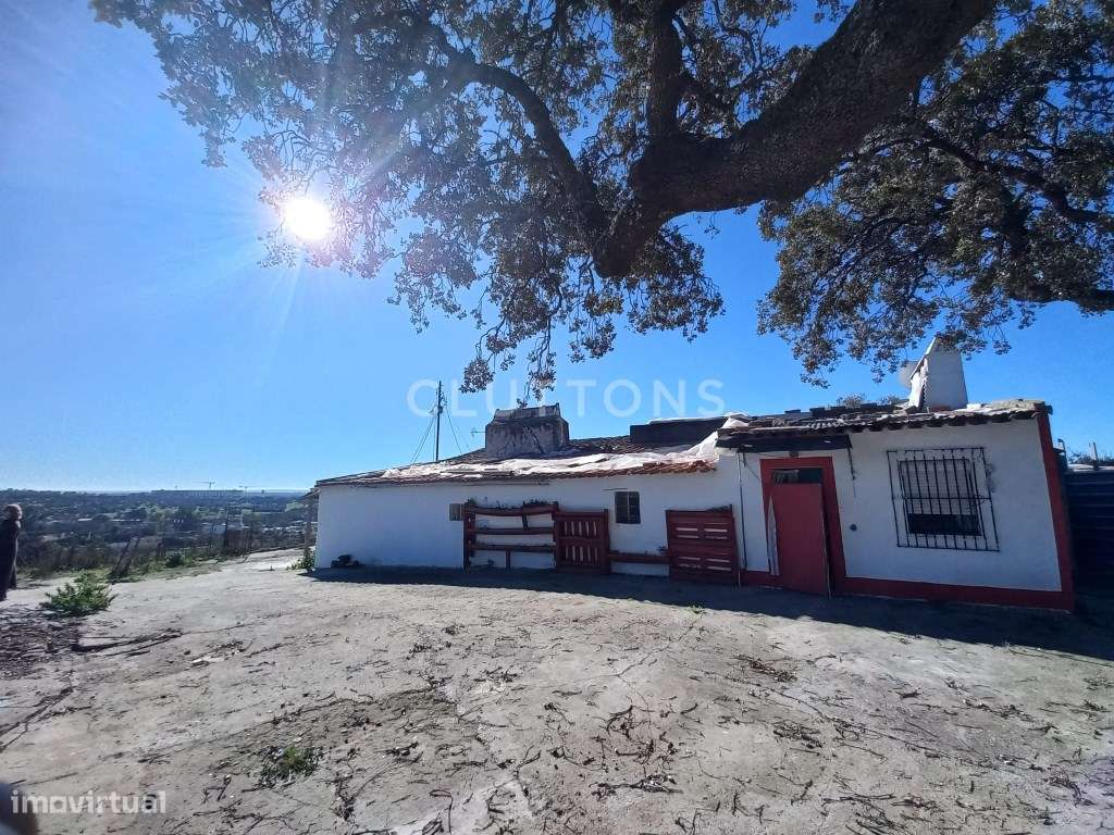 Terreno - Quinta, Investimento, 12 hectares e 844 m2 edificados, Évora-7