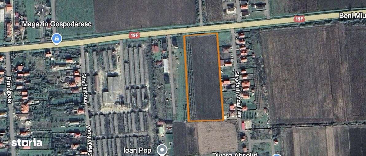 Teren 20.500 m² de vânzare în Mărtinești, între Satu Mare și Odoreu - Imagine principală: 3/4