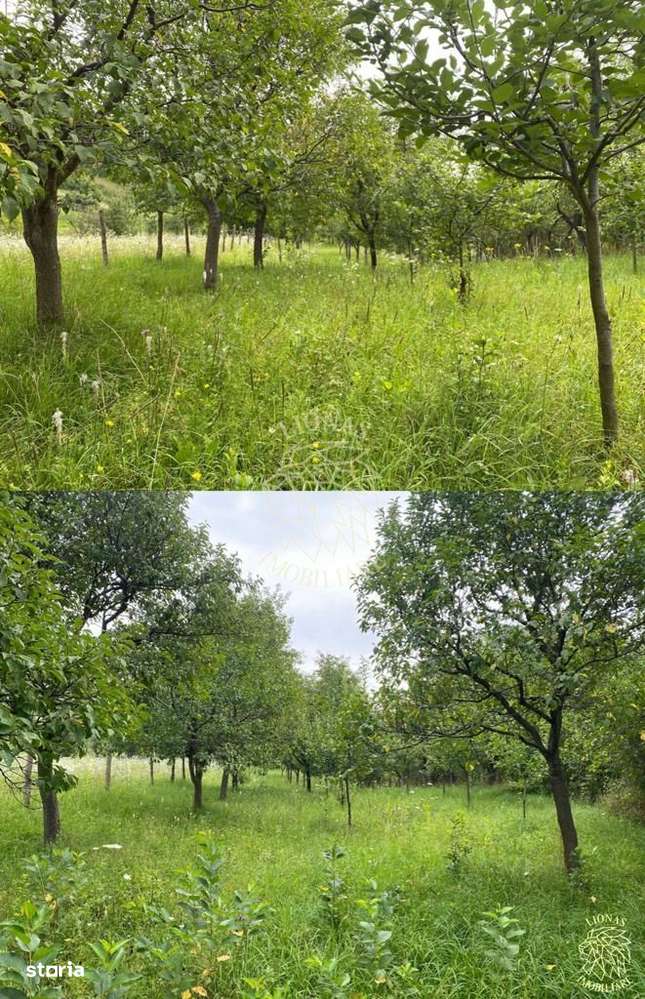 Casa 4 camere-teren/livada 1250 mp-pretabil locuire-Nepos - Imagine principală: 5/8