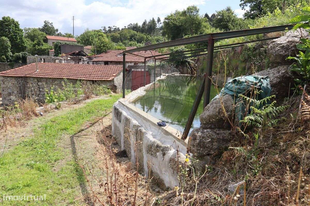 Quinta T7 para venda-20