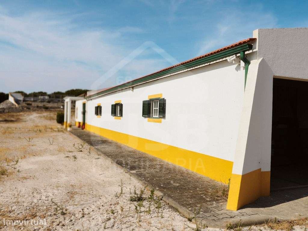 Quinta T5 na Branca-5