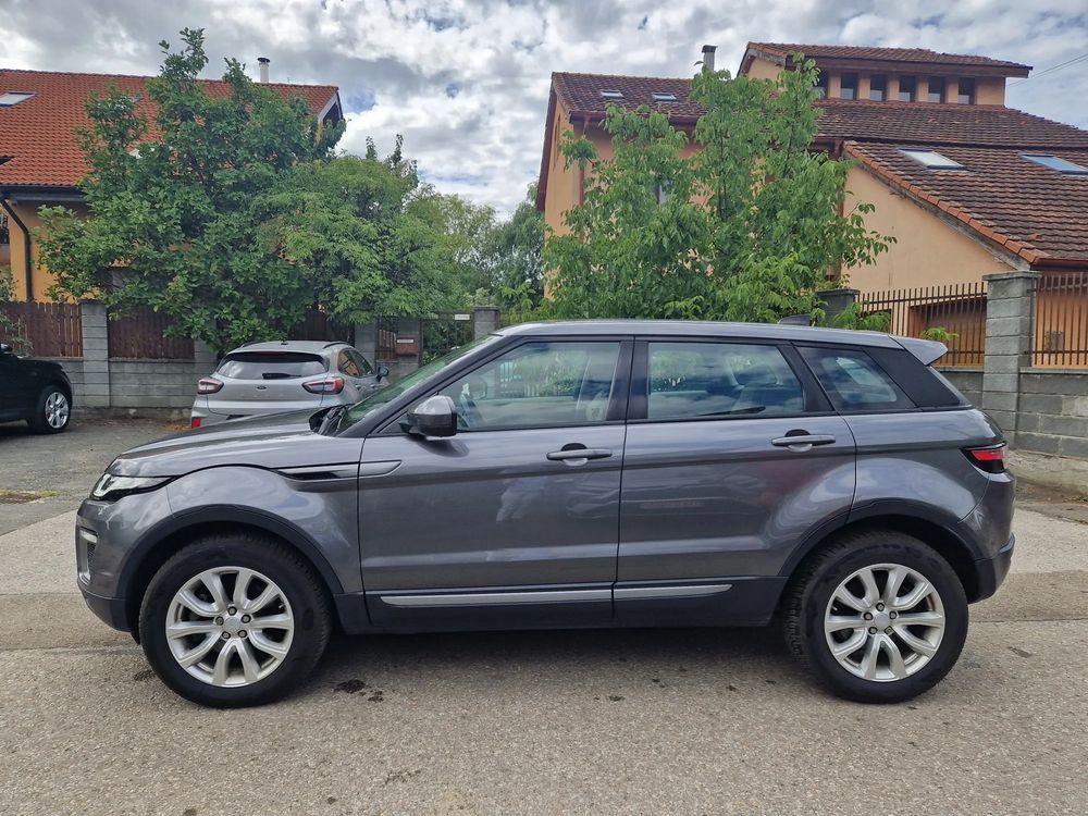 Rover City Rover 2018