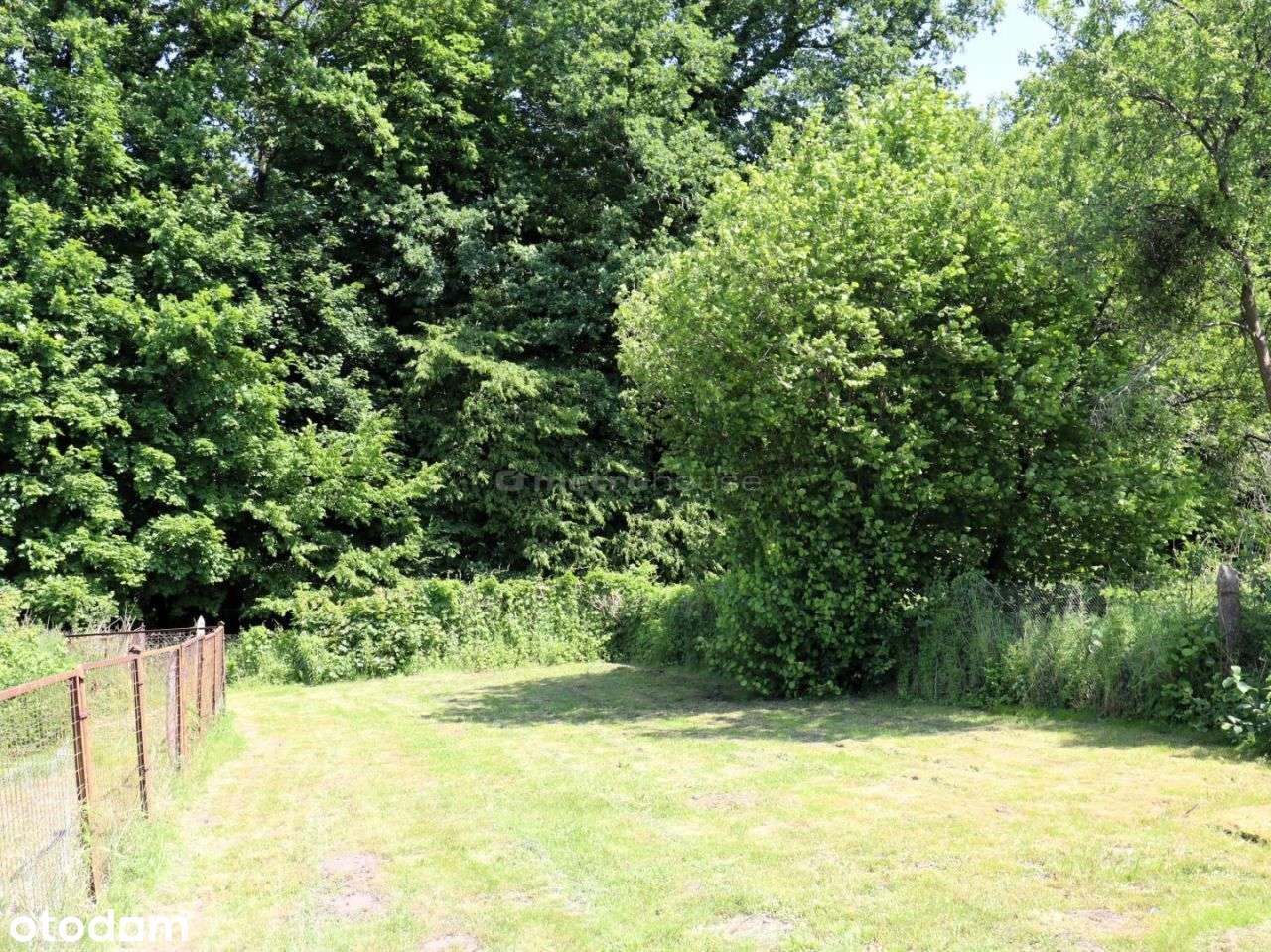 Wolnostojący dom na dużej działce - Białogard-15