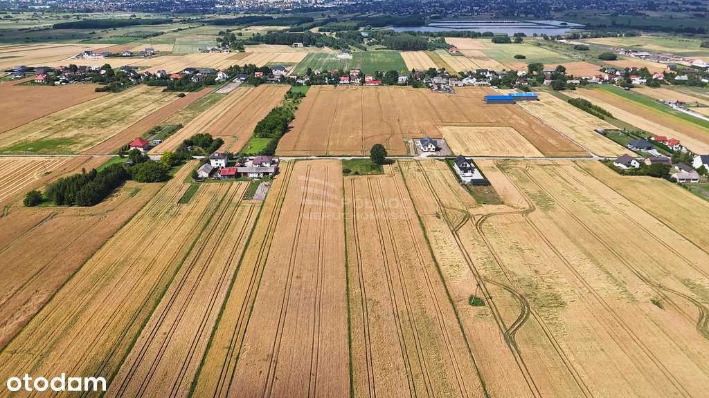 Ostatnia działka w Pniówku – 16 arów, 115 000 zł - Pełny obrazek: 4/8