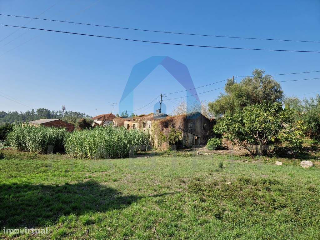 Terreno com Viabilidade de Construção - Pombal-6