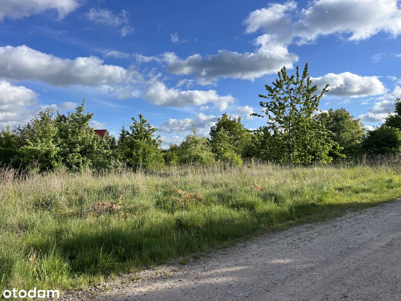 Na sprzedaż – Wyjątkowa działka budowlana 3 000 m² w Gorzowie Wlkp. - Pełny obrazek: 5/6