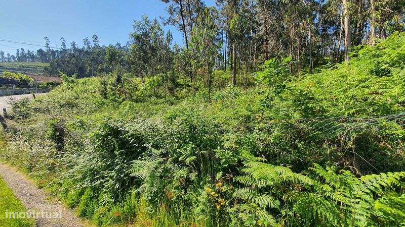 Terreno  para construção, com 2096 m2, em Telões - Amarante - Grande imagem: 4/7