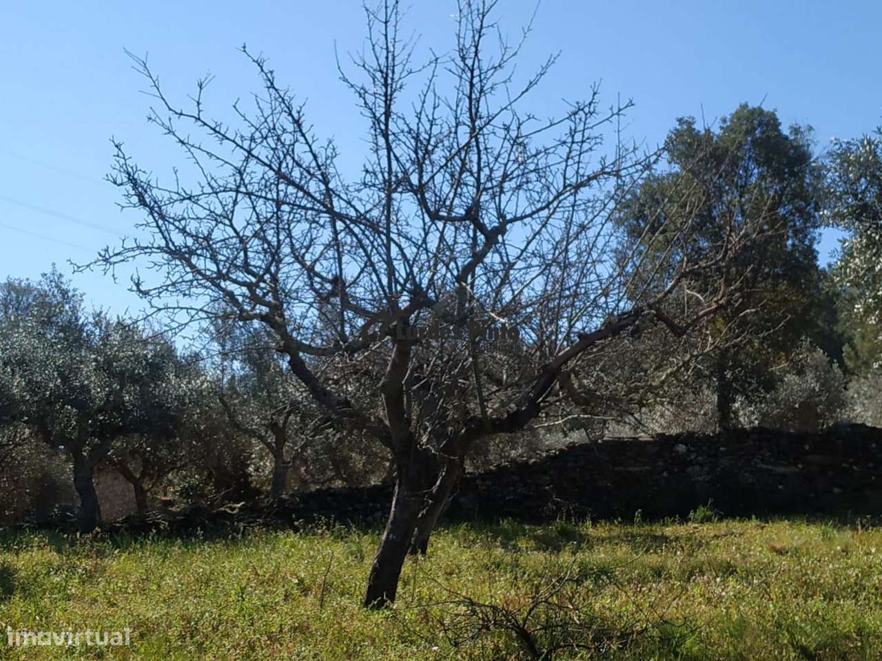 Quintinha com poço - Grande imagem: 4/15