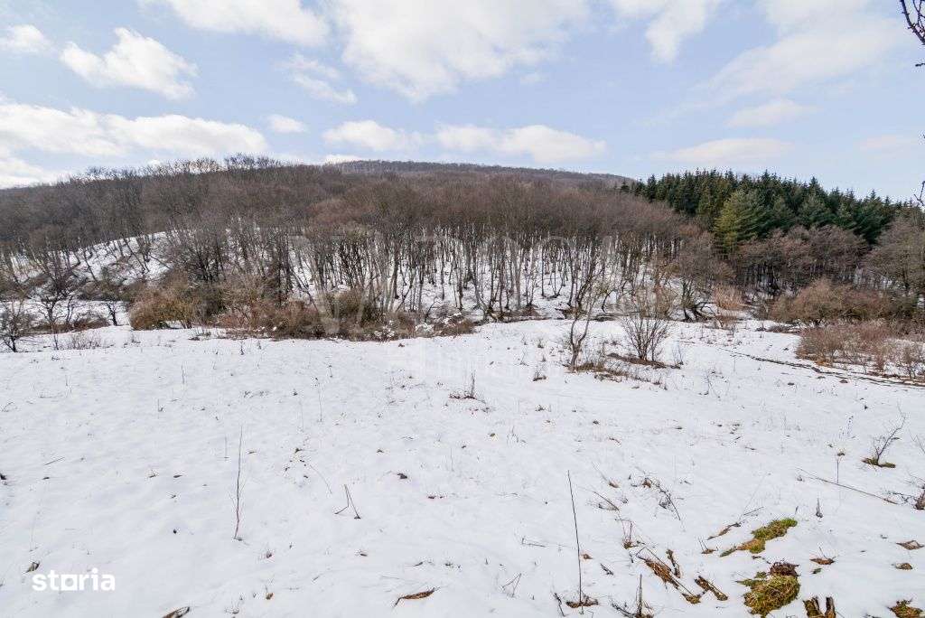 Teren intravilan pentru constructii de vanzare in Faget, Cluj - Imagine principală: 5/7