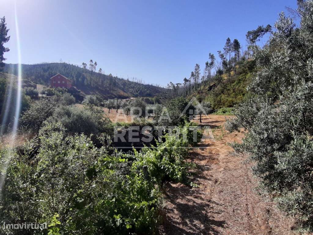 Verdadeiro paraíso no coração de Cambas em Oleiros - Grande imagem: 4/60