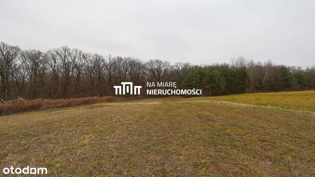 Działka 11,5ar | WZ | Punkt Widokowy-6