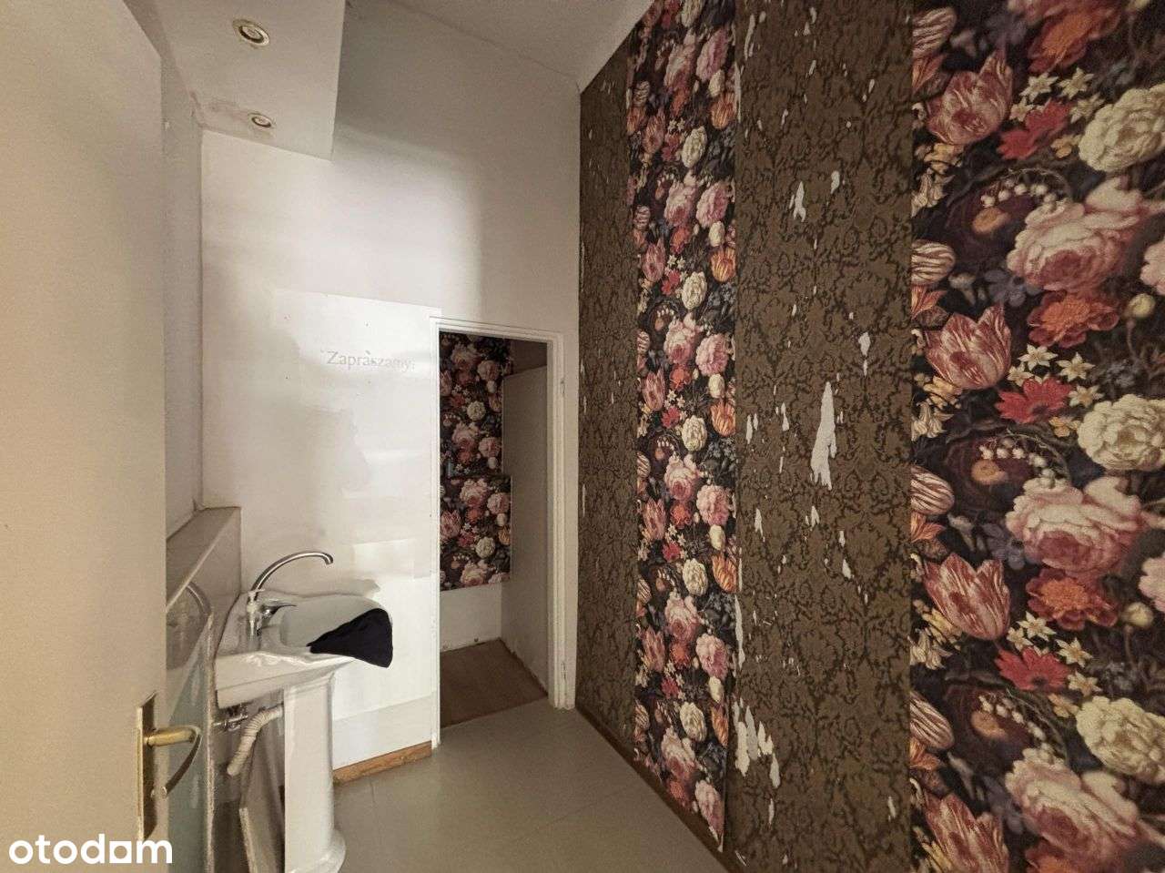 |Nożownicza|Centrum|Witryna|Paretr|Usługi|Gastro|-11