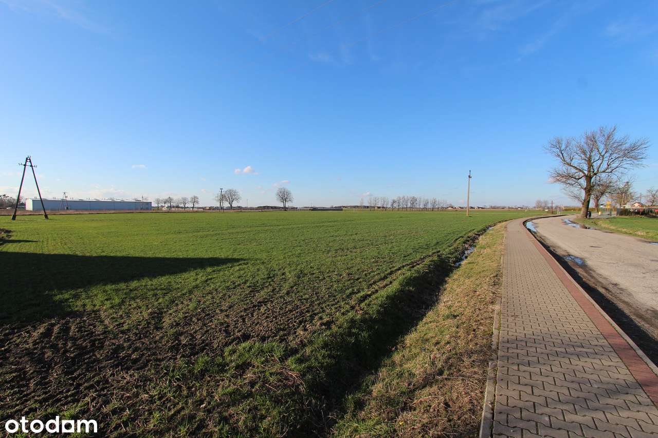 Działka AG 1,79 ha POKLATKI (gm. Kleszczewo) - Pełny obrazek: 5/8