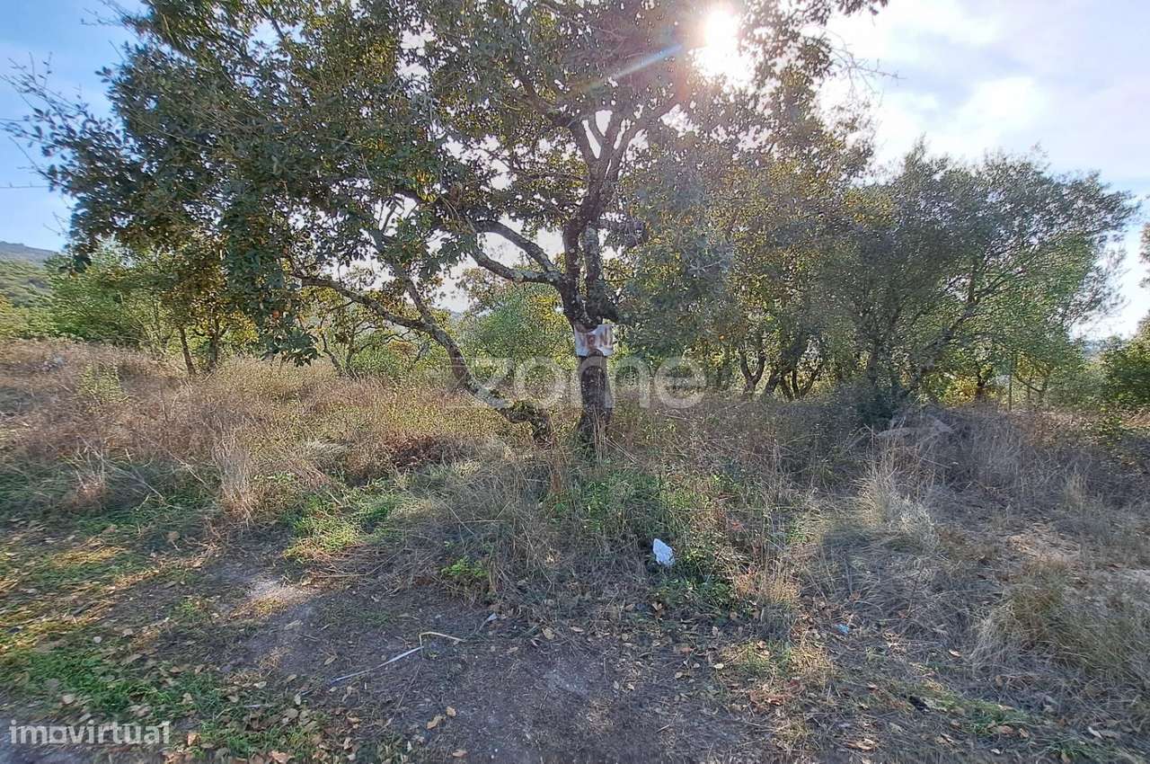 Terreno Urbanizável a 5 min. da Batalha - Grande imagem: 4/24