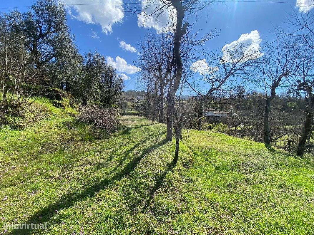 Quinta  para venda - Grande imagem: 5/17