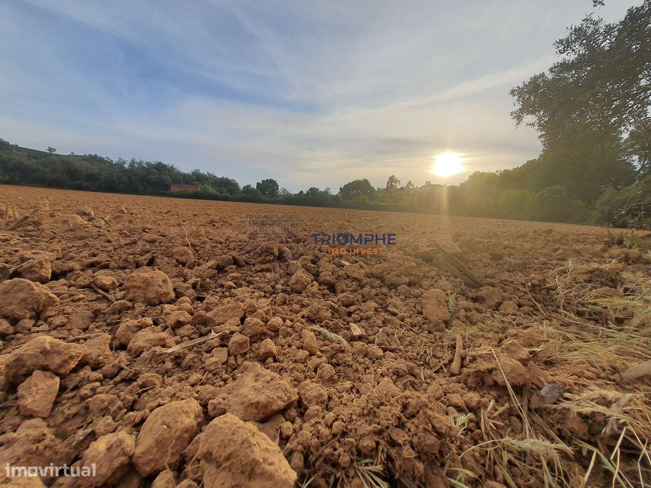 Terreno com Ruína - Silves - Projeto de Empreendimento Rural - Grande imagem: 4/6
