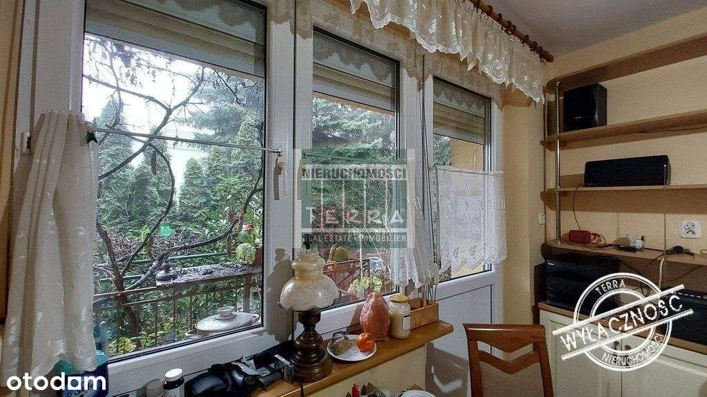 Zielony dom tonący w zieleni-9