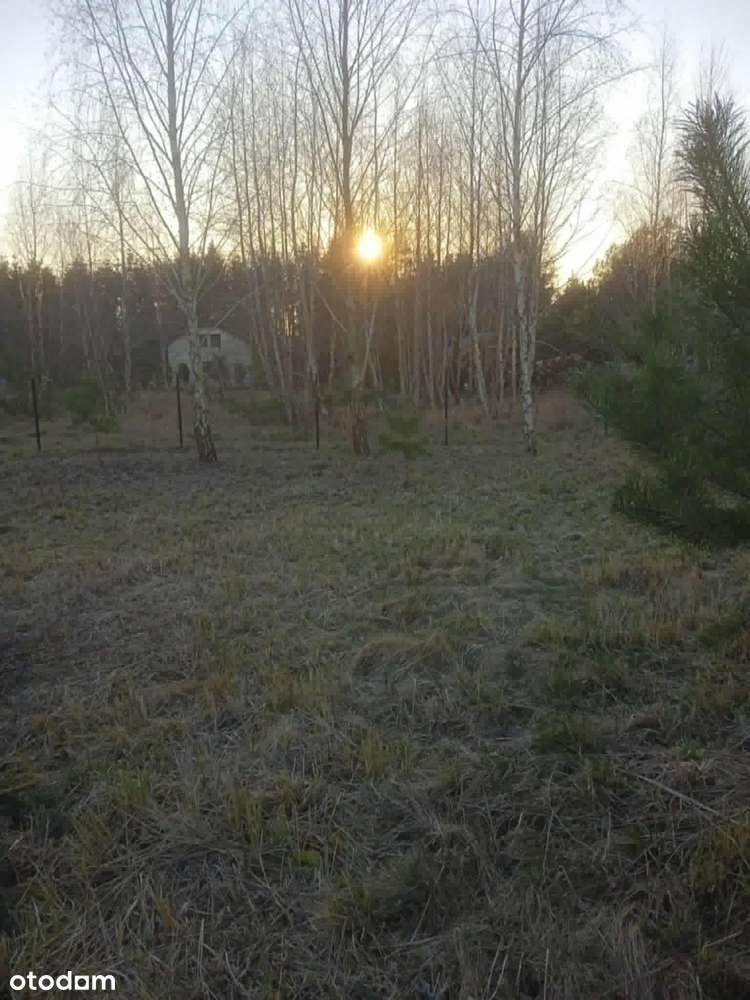 Działka rekreacyjna całoroczna – Długie Parcele,okolice jeziora Długie - Pełny obrazek: 5/5